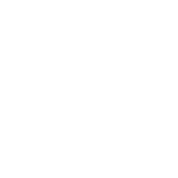 Icône de document