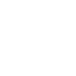 Icône d'audit